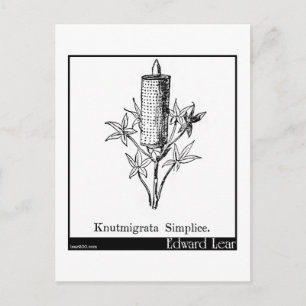 Knutmigrata-vereenvoudiging. Briefkaart