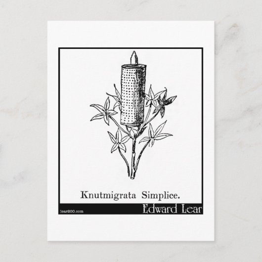 Knutmigrata-vereenvoudiging. Briefkaart (Voorkant)