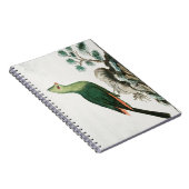 Knysna turaco | Groene vogelanimatie | Notitieboek (Rechterzijde)