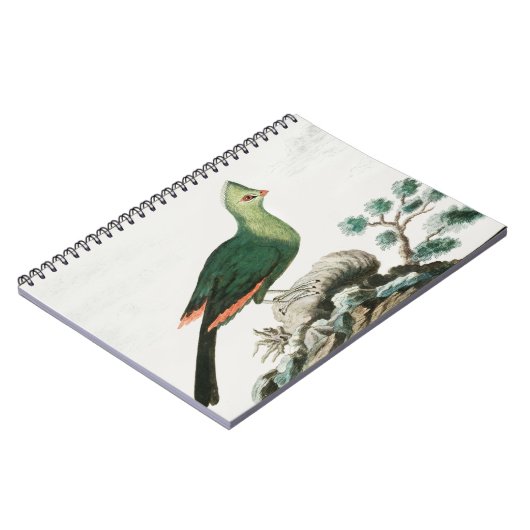 Knysna turaco | Groene vogelanimatie | Notitieboek (Linkerzijde)