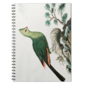 Knysna turaco | Groene vogelanimatie | Notitieboek (Voorkant)