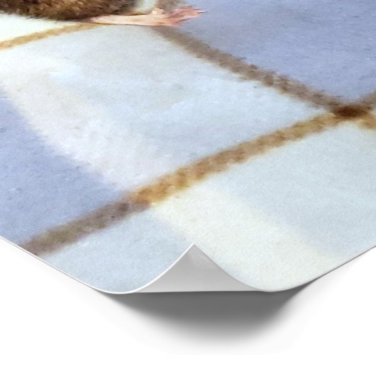 Koa en Caleb-Poster Poster (Hoek)