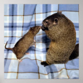 Koa en Caleb-Poster Poster (Voorkant)