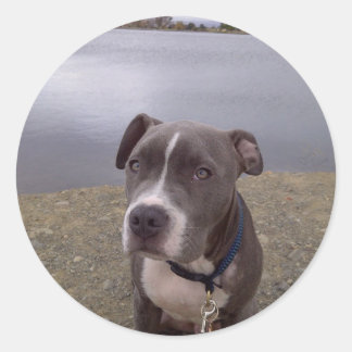 Koa Vasona Park Ronde Sticker