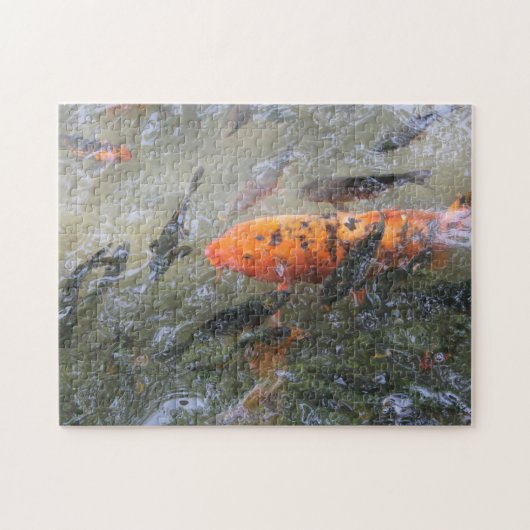 Koa vijver legpuzzel (Horizontaal)