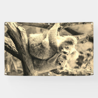 KOAHLA BEER EN CUB Banner MET GROMMETS