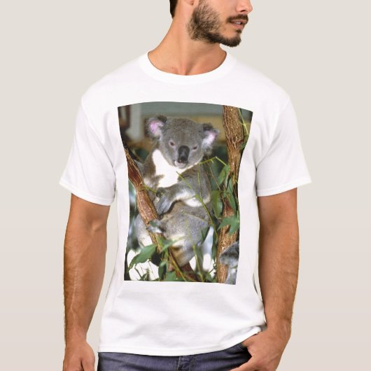 koala2 t-shirt (Voorkant)