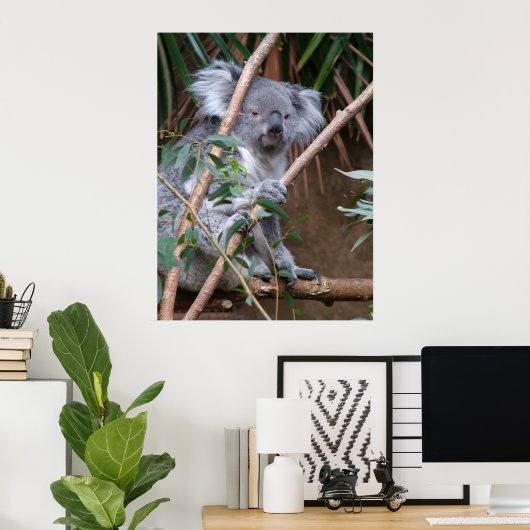 Koala 14 poster (Thuiskantoor)