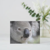Koala 1 Briefkaart (Staand voorkant)