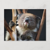 Koala 1 briefkaart (Voorkant)