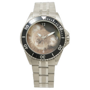 Koala_2015_0301 Horloge
