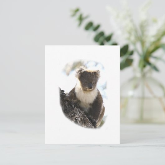 Koala 2 briefkaart (Staand voorkant)