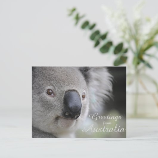 Koala 2 - Groeten Briefkaart (Staand voorkant)