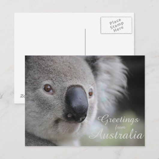 Koala 2 - Groeten Briefkaart (Voorkant / Achterkant)