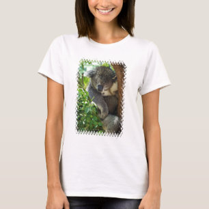 koala-34.jpg t-shirt