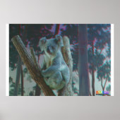 Koala 3D Anaglyph Poster (Voorkant)