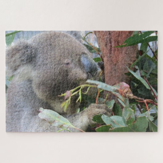 koala aan het eten legpuzzel (Horizontaal)