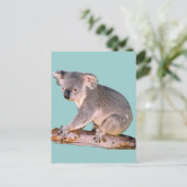 Koala Afbeelding Briefkaart (Staand voorkant)
