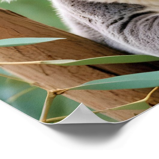 Koala Animal Natuur Wildlife Affection Caring Poster (Hoek)