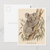 Koala-ansichtkaart | Bush-editie Briefkaart (Voorkant / Achterkant)