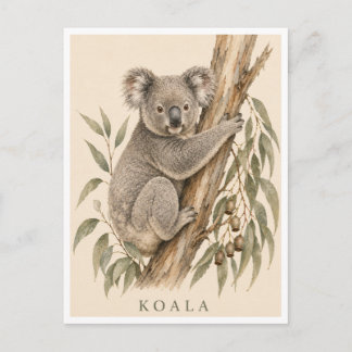 Koala-ansichtkaart | Bush-editie Briefkaart