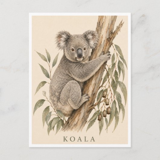 Koala-ansichtkaart | Bush-editie Briefkaart (Voorkant)