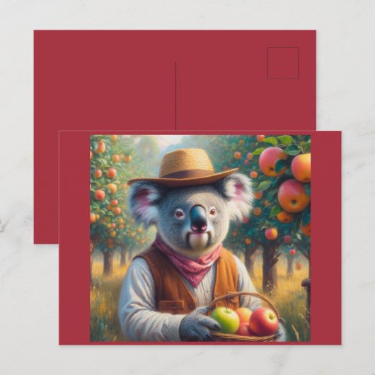 Koala appelboomgaard briefkaart (Voorkant / Achterkant)