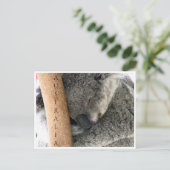 koala australia briefkaart (Staand voorkant)
