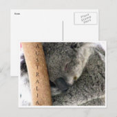 koala australia briefkaart (Voorkant / Achterkant)