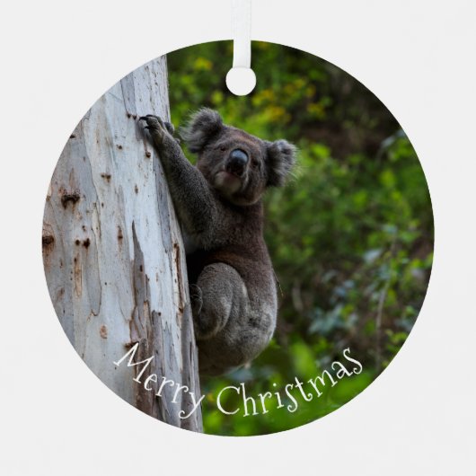Koala Australia Merry Christmas Metalen Ornament (Voorkant)