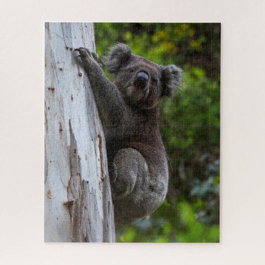 Koala Australia Wildlife Photo, 520 pieces Legpuzzel (Verticaal)