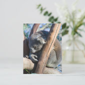 Koala - Australië Briefkaart (Staand voorkant)