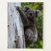 Koala Australië Fotocollage, Groen 2025 Planner (Achterkant)