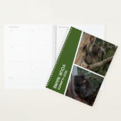 Koala Australië Fotocollage, Groen 2025 Planner (Display)