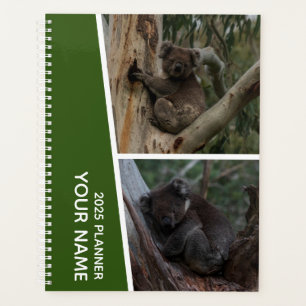 Koala Australië Fotocollage, Groen 2025 Planner
