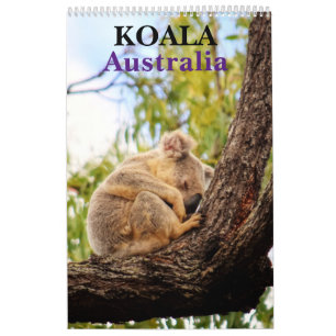 KOALA AUSTRALIË KALENDER