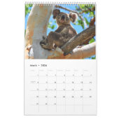 KOALA AUSTRALIË KALENDER (Mar 2026)
