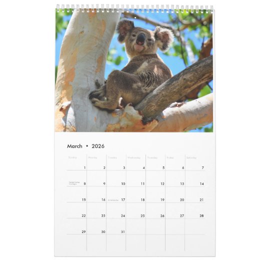 KOALA AUSTRALIË KALENDER (Mar 2026)
