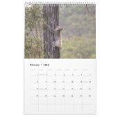 KOALA AUSTRALIË KALENDER (Feb 2026)