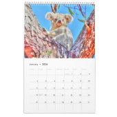 KOALA AUSTRALIË KALENDER (Jan 2026)