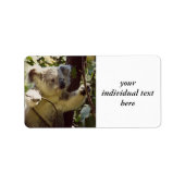 Koala-baby Etiket (Voorkant)