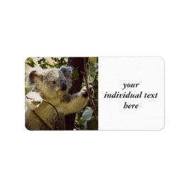 Koala-baby Etiket