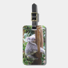 Koala Bagagelabel