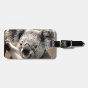 Koala Bagagelabel