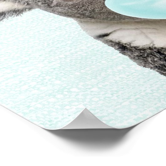 Koala Bblaast een Poster blauw gebubbel (Hoek)