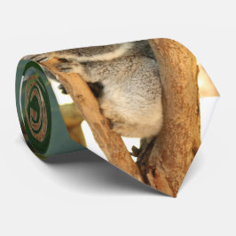 Koala beer -3 stropdas