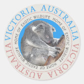 Koala Beer Australië Sticker (Voorkant)