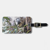 Koala beer bagagelabel (Voorkant horizontaal)