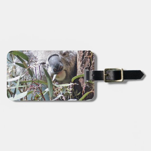Koala beer bagagelabel (Voorkant horizontaal)