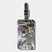 Koala beer bagagelabel (Voorkant verticaal)